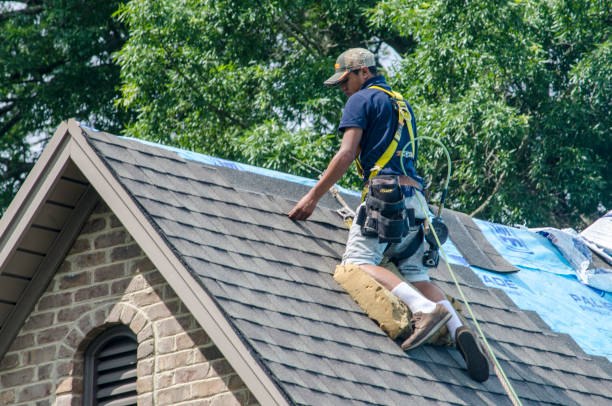 Best Roof Maintenance Services  in Hill City, KS